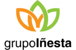 Grupo Iñesta
